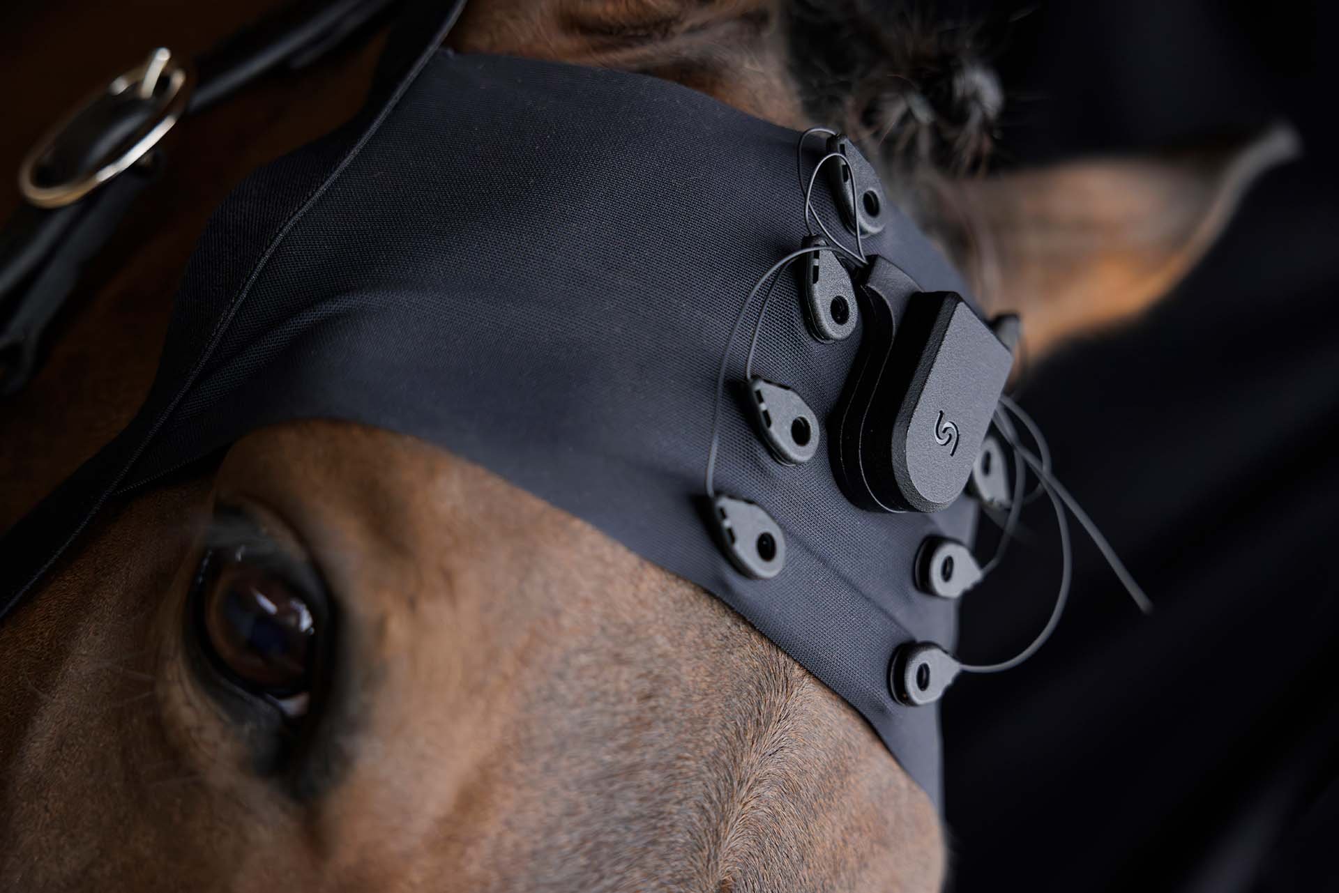 The Unicorn BCI Core-8 is a powerful 24-bit, 8-channel EEG and BCI device designed for versatility and ease of use. It attaches magnetically to various base stations, which can be configured for diverse recording scenarios on humans, dogs, horses, or other subjects.
